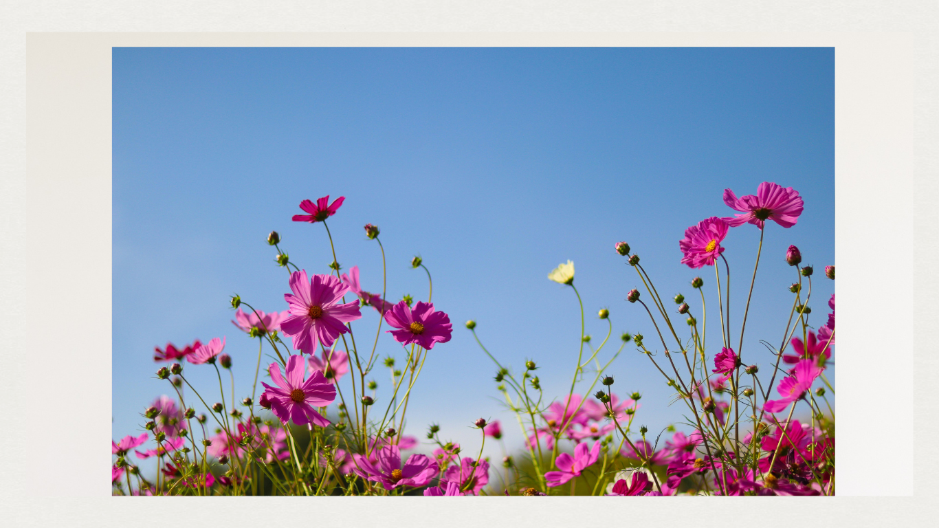 ママ友との関係で疲れてしまう時