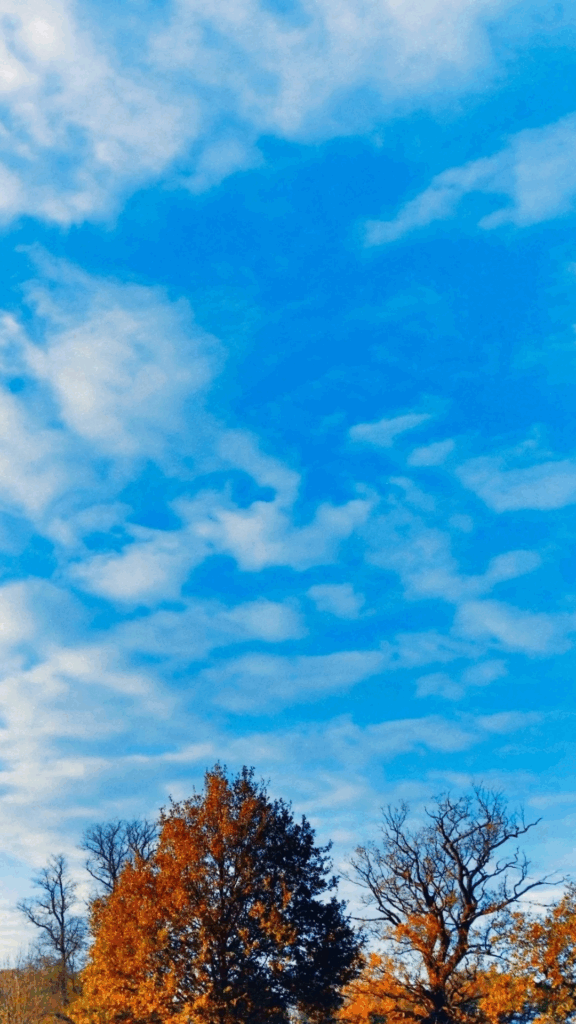 子育て講座のご案内